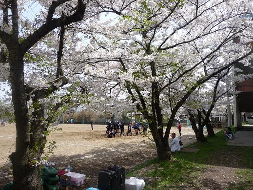 f:id:akita319:20120429184928j:image f:id:akita319:20120429184928j:image
