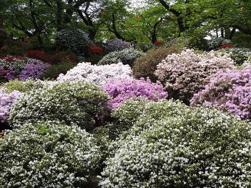 f:id:akita319:20120520080558j:image
