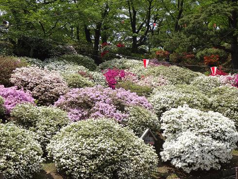 f:id:akita319:20120520080601j:image
