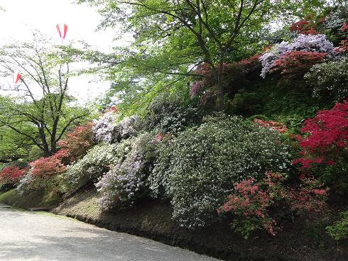 f:id:akita319:20120520080604j:image