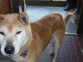 f:id:akita319:20120603085250j:image f:id:akita319:20120603085250j:image