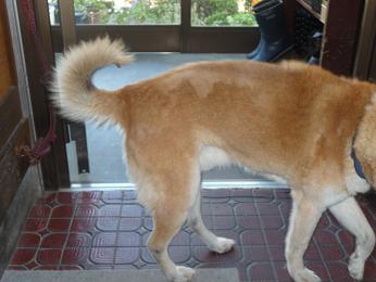 f:id:akita319:20120603085251j:image f:id:akita319:20120603085251j:image