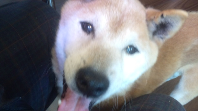 f:id:akita319:20120624072432j:image