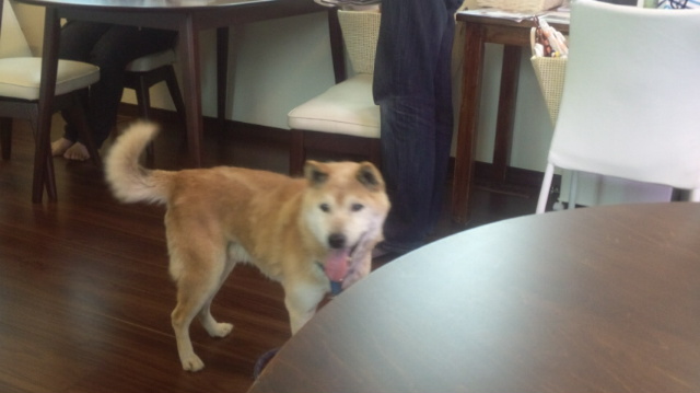 f:id:akita319:20120624072433j:image