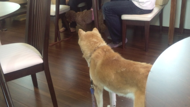 f:id:akita319:20120624072434j:image