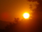 20120711210833