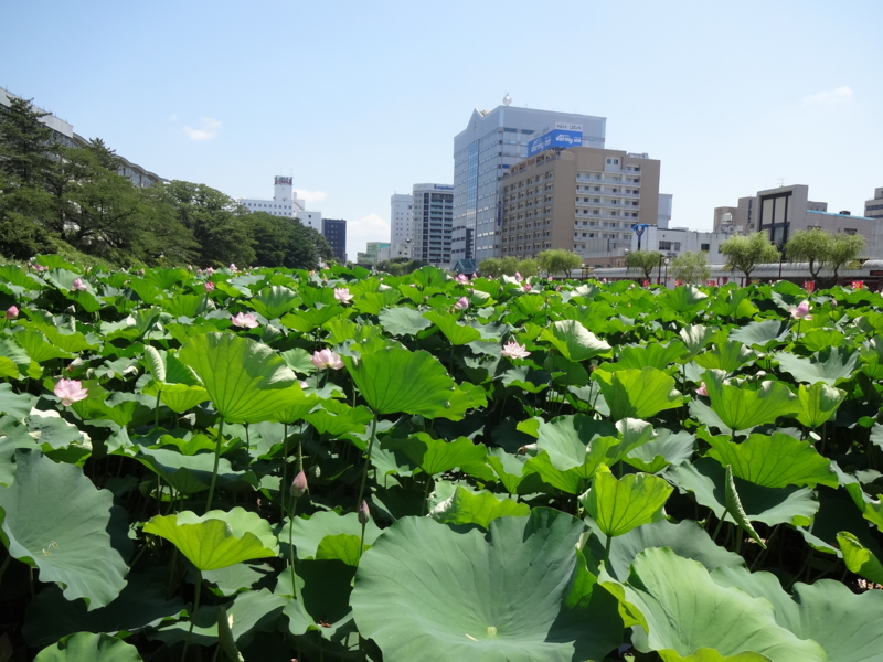 f:id:akita319:20120807202947j:image