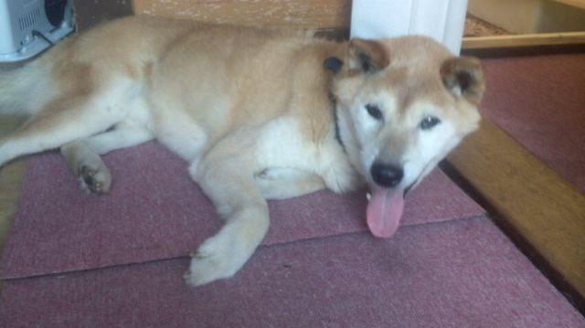 f:id:akita319:20120918210638j:image