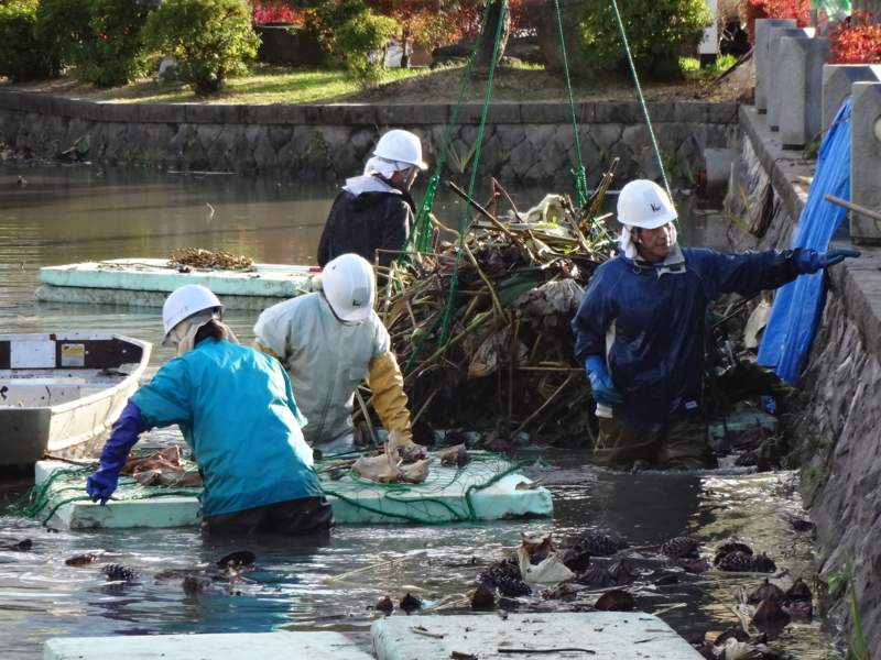 f:id:akita319:20121112205502j:image