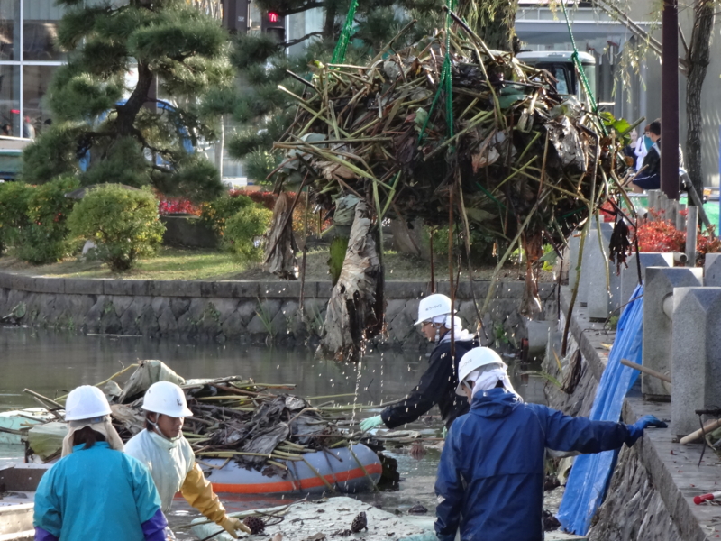 f:id:akita319:20121112205508j:image