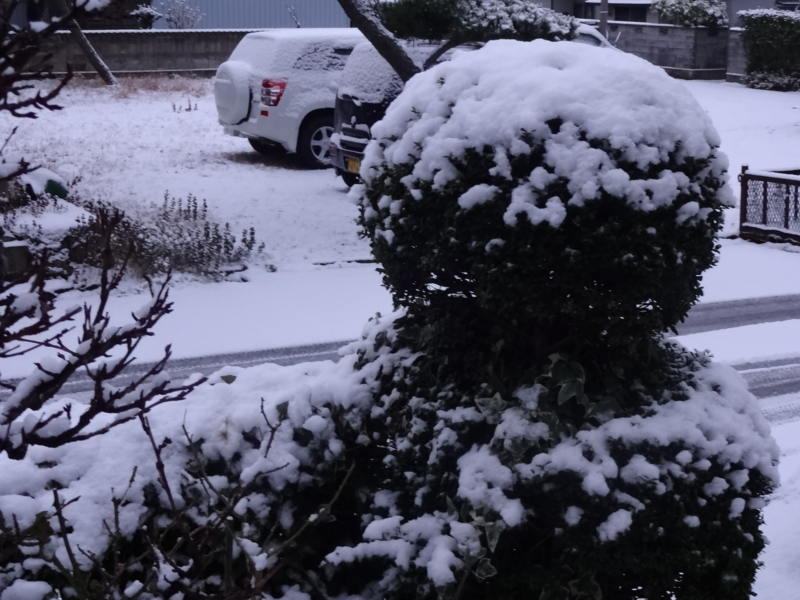f:id:akita319:20121208134415j:image f:id:akita319:20121208134415j:image