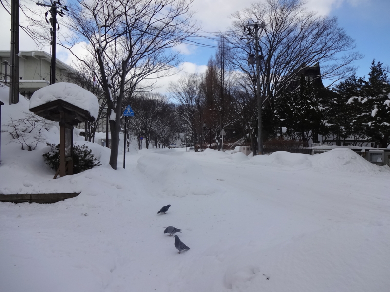 f:id:akita319:20130119213446j:image f:id:akita319:20130119213446j:image