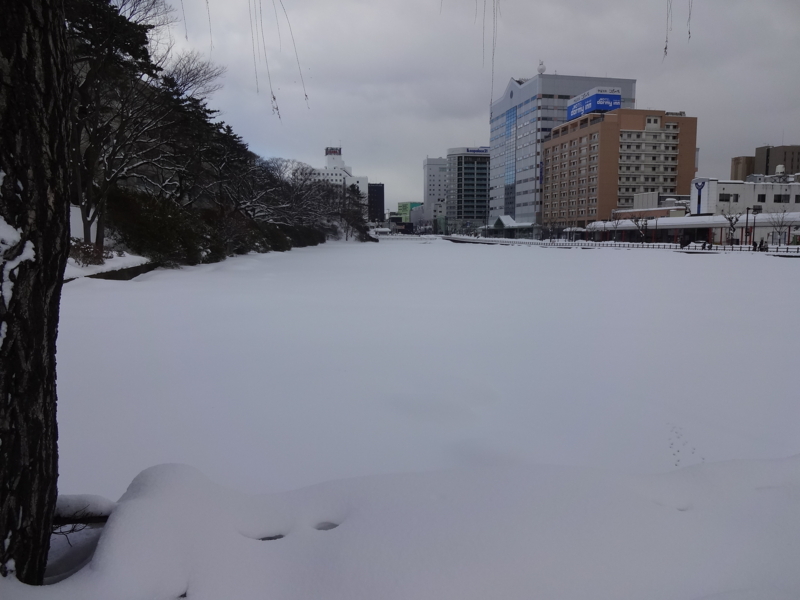 f:id:akita319:20130119213458j:image f:id:akita319:20130119213458j:image