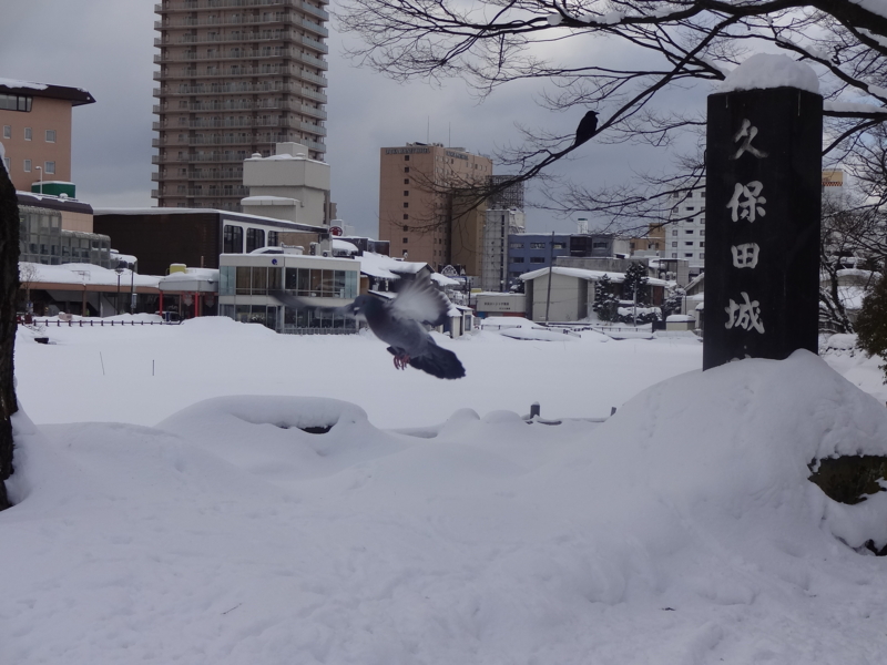 f:id:akita319:20130119213512j:image