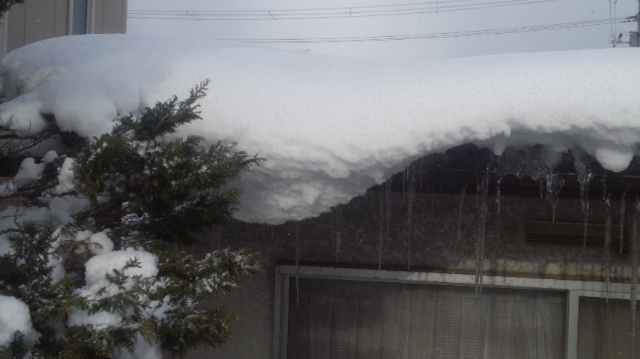 f:id:akita319:20130121184227j:image f:id:akita319:20130121184227j:image