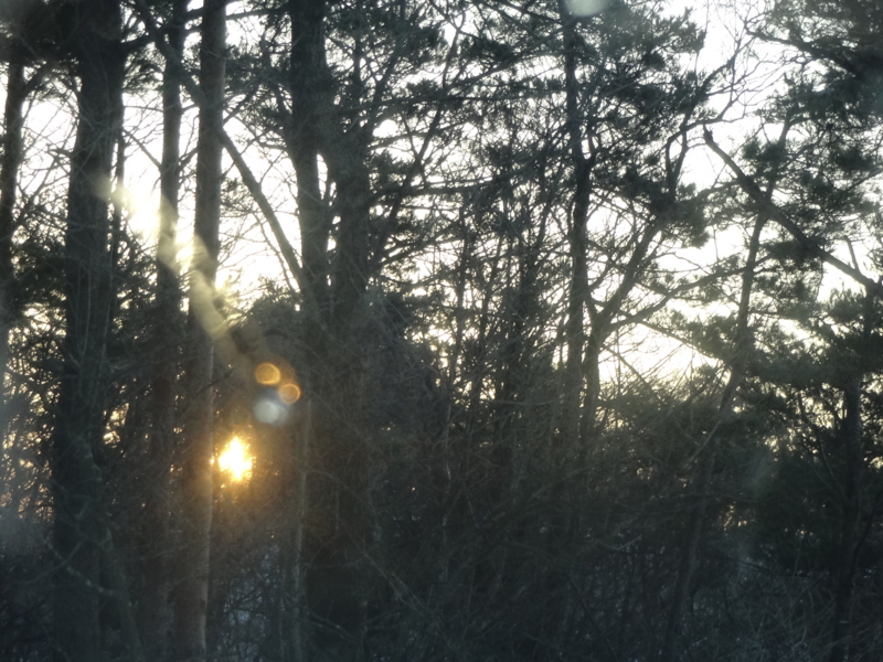 f:id:akita319:20130123222030j:image f:id:akita319:20130123222030j:image