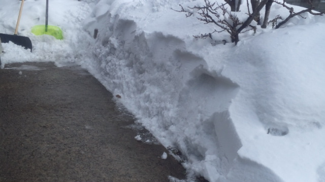f:id:akita319:20130217123350j:image