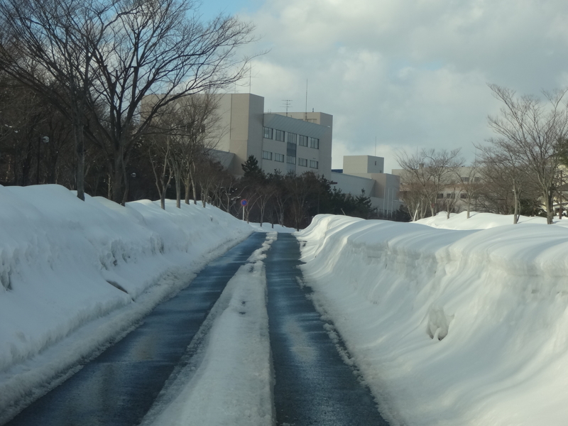 f:id:akita319:20130217173948j:image