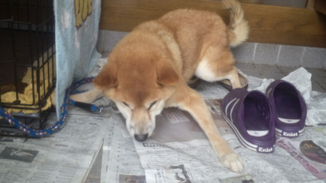 f:id:akita319:20130219202524j:image