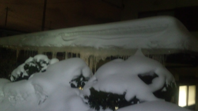 f:id:akita319:20130226202230j:image f:id:akita319:20130226202230j:image