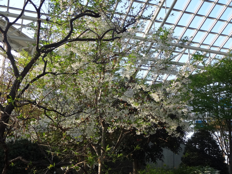f:id:akita319:20130414080143j:image