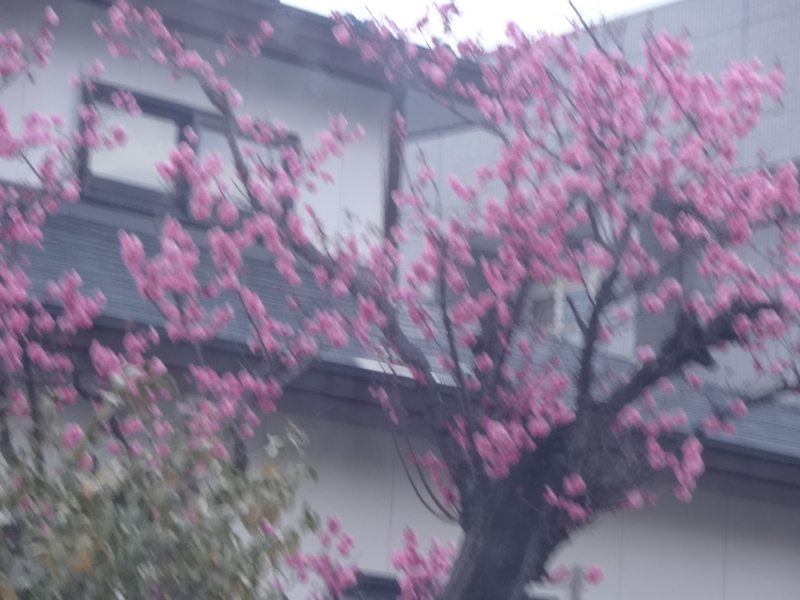 f:id:akita319:20130421073621j:image