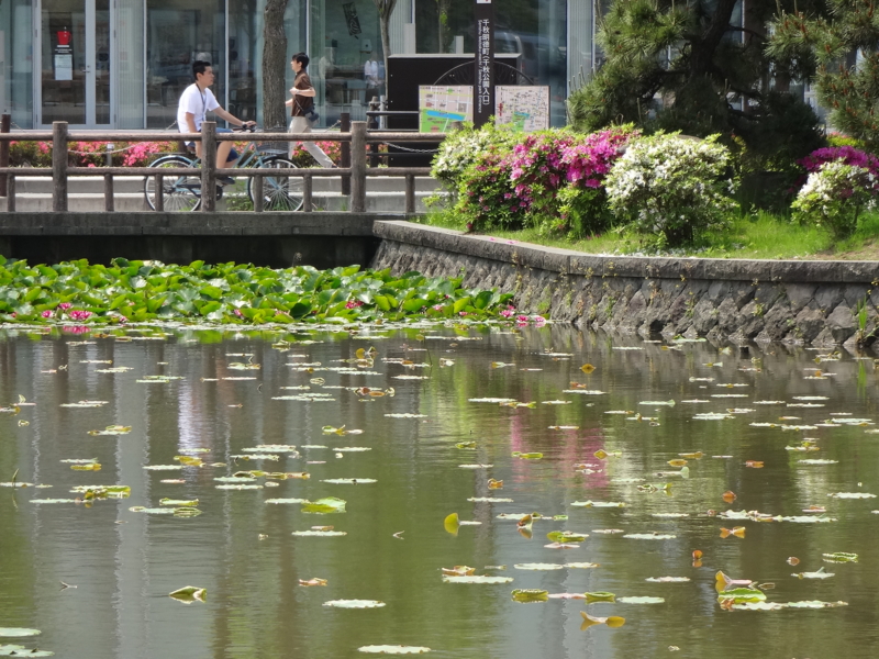 f:id:akita319:20130609081414j:image