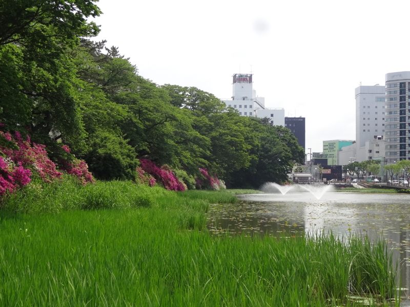 f:id:akita319:20130609081422j:image