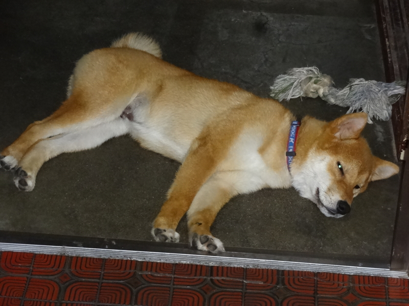 f:id:akita319:20130705052800j:image