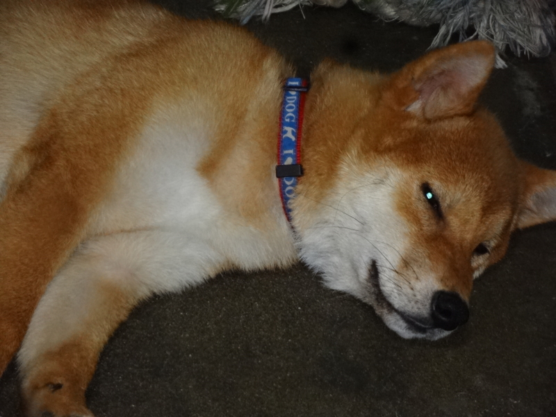 f:id:akita319:20130705052807j:image