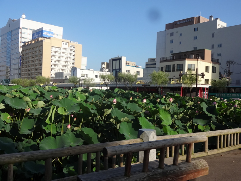 f:id:akita319:20130811094253j:image f:id:akita319:20130811094253j:image
