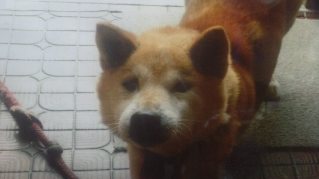 f:id:akita319:20130812210230j:image