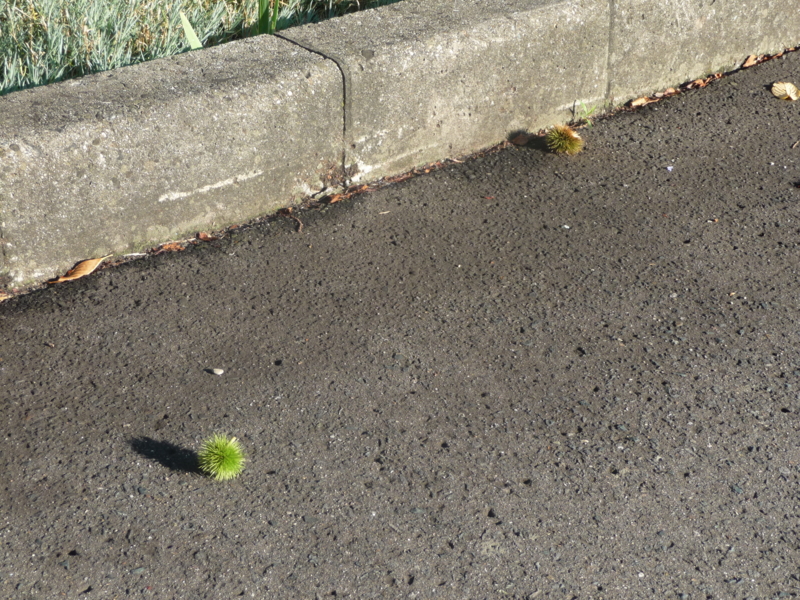 f:id:akita319:20130829055215j:image