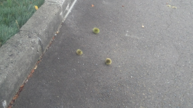f:id:akita319:20130829064447j:image