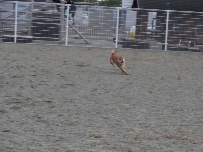 f:id:akita319:20131005195854j:image