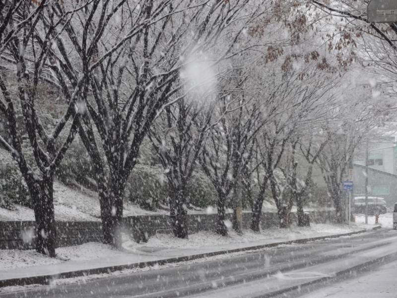f:id:akita319:20131130085915j:image