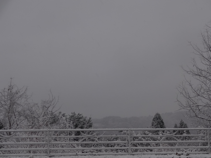 f:id:akita319:20131130085922j:image