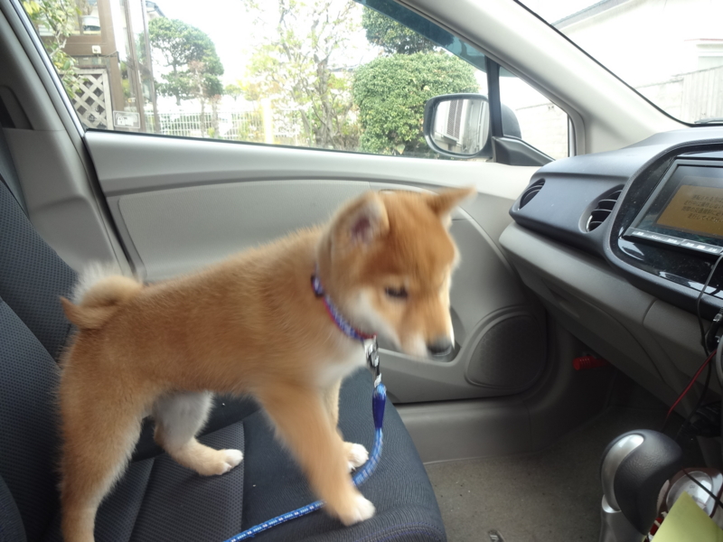 f:id:akita319:20131201075303j:image
