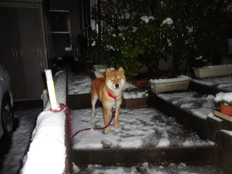f:id:akita319:20131212064041j:image f:id:akita319:20131212064041j:image