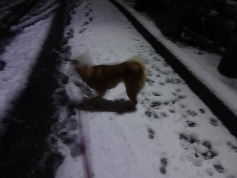 f:id:akita319:20131212064048j:image f:id:akita319:20131212064048j:image