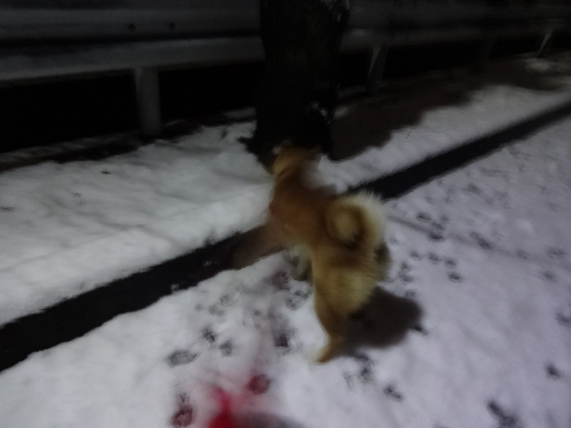 f:id:akita319:20131212064054j:image f:id:akita319:20131212064054j:image