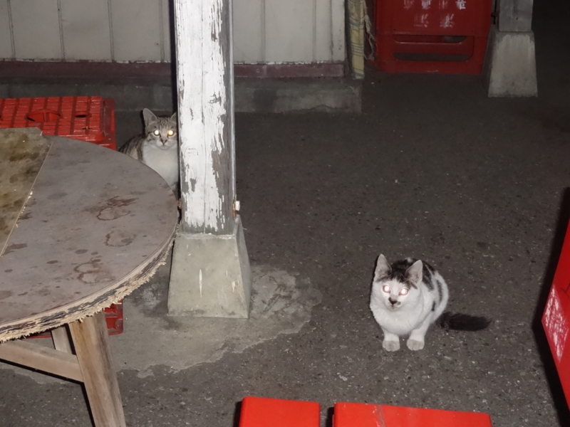 f:id:akita319:20131219204811j:image f:id:akita319:20131219204811j:image