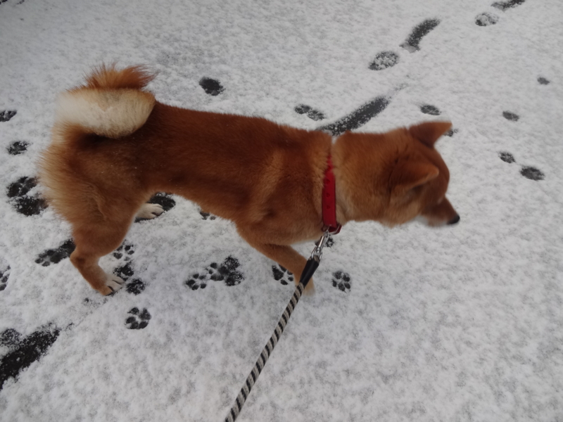 f:id:akita319:20131223165447j:image