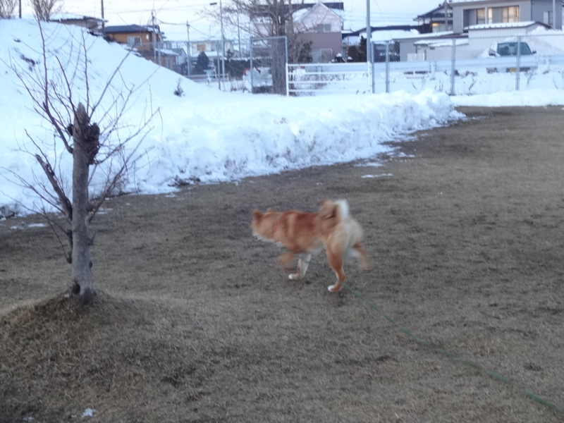 f:id:akita319:20140209203458j:image f:id:akita319:20140209203458j:image