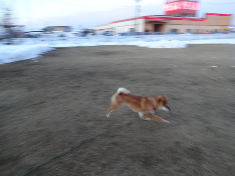 f:id:akita319:20140209203504j:image f:id:akita319:20140209203504j:image