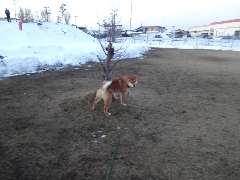f:id:akita319:20140209203511j:image f:id:akita319:20140209203511j:image