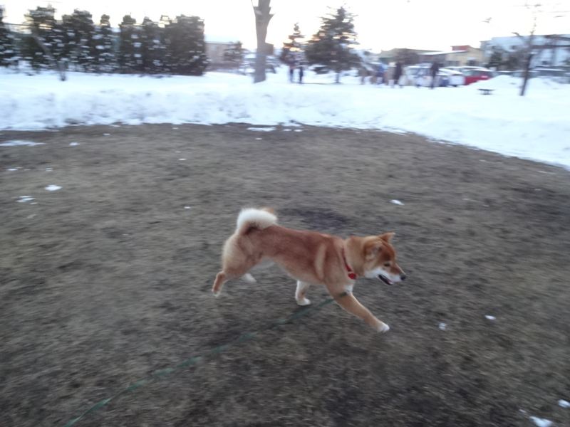 f:id:akita319:20140209203517j:image f:id:akita319:20140209203517j:image