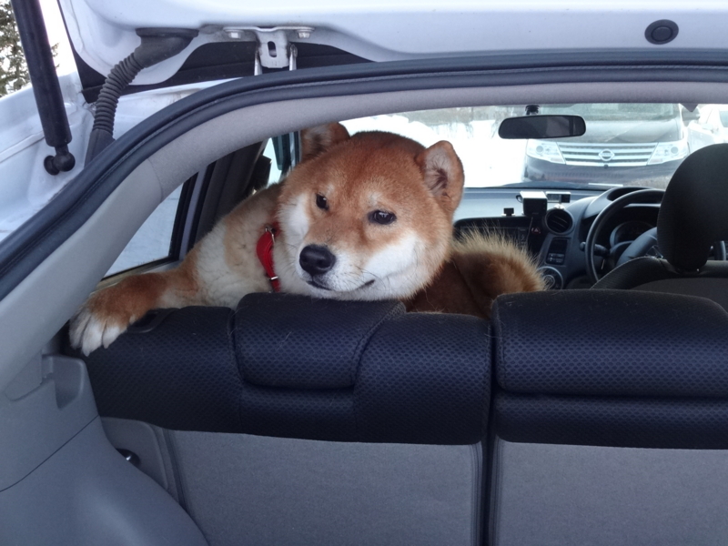 f:id:akita319:20140209203524j:image f:id:akita319:20140209203524j:image