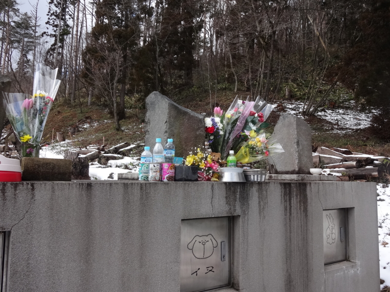 f:id:akita319:20140323081532j:image