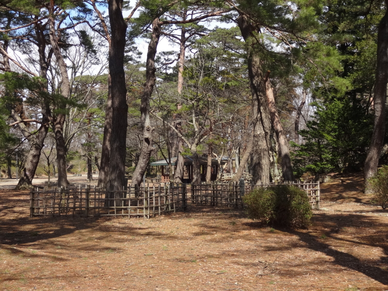 f:id:akita319:20140324205033j:image